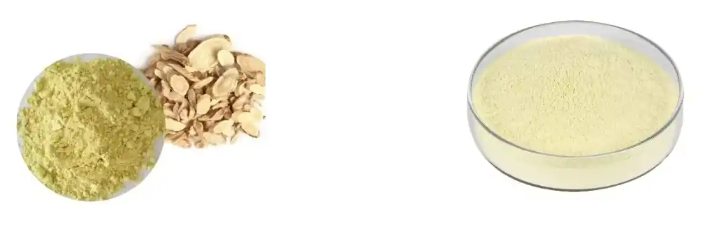 Scutellaria Baicalensis Extract Scutellaria Baicalensis Extract