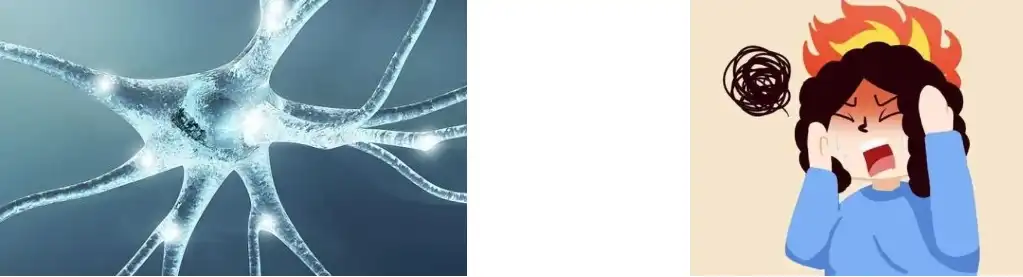 Po de extracto de trébol vermello Po de extracto de trébol vermello