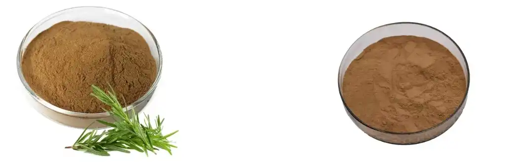 ROSEMARY LEAF EXTRACT ROSEMARY LEAF EXTRACT