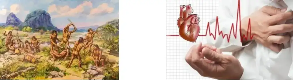 Rosemary Leaf Extract Rosemary Leaf Extract