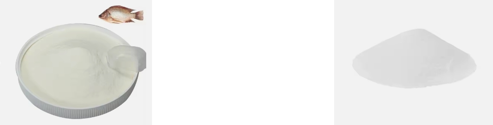 Fish Collagen Peptide Fish Collagen Peptide