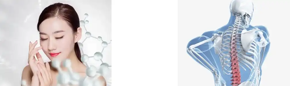 Fish Collagen Peptide Fish Collagen Peptide