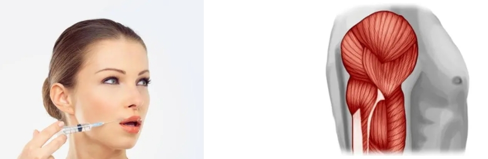 Fish Collagen Peptide Fish Collagen Peptide