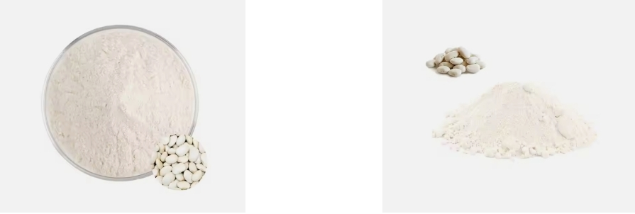 white kidney bean extract white kidney bean extract