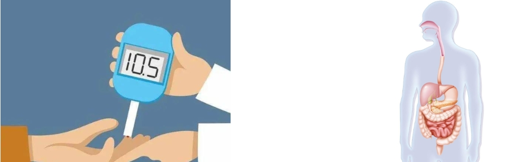 white kidney bean extract white kidney bean extract