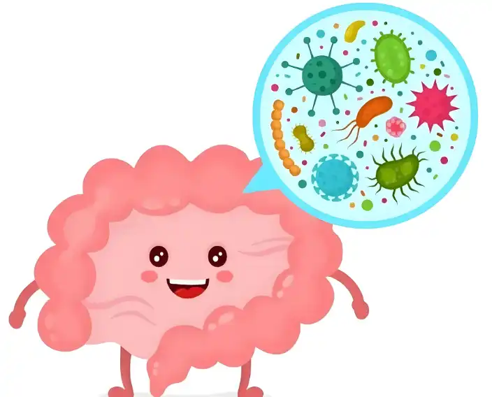 Astragalus Extract Powder Astragalus Extract Powder