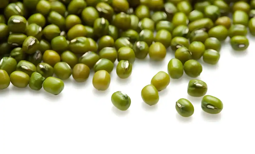 Mung Bean Protein Powder factory