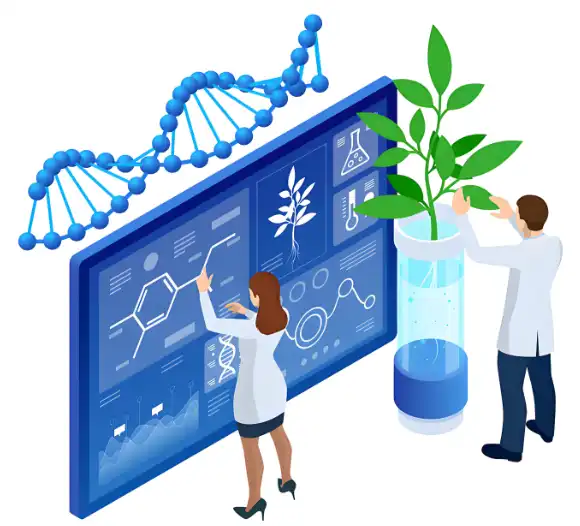 Mung Bean Protein Powder factory Mung Bean Protein Powder factory