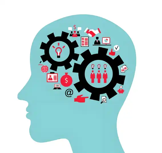 Extracto de ginseng Panax en po Extracto de ginseng Panax en po