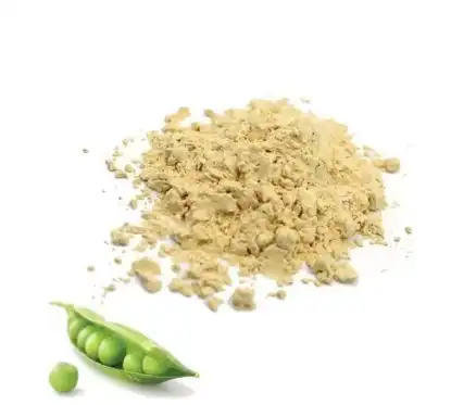 Fava Bean Protein Powder Fava Bean Protein Powder