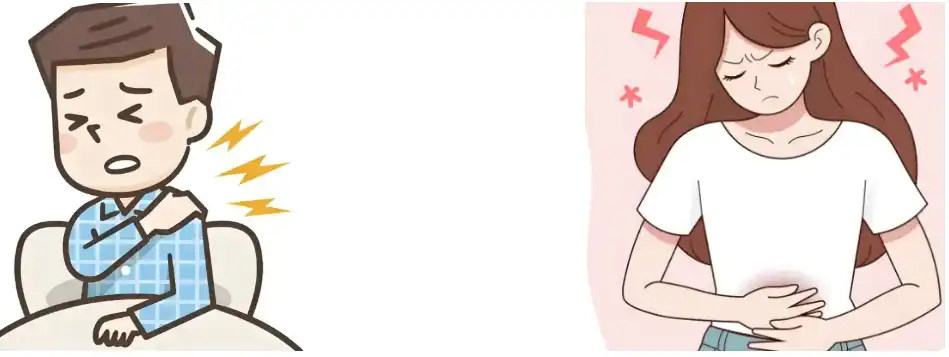 White Willow Bark Powder White Willow Bark Powder