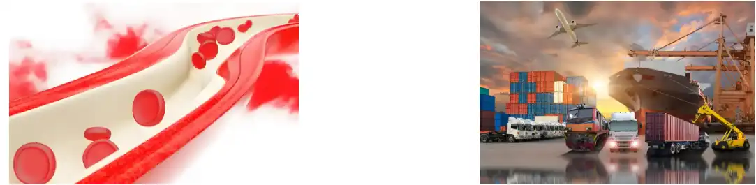 Fucoidan Powder Fucoidan Powder