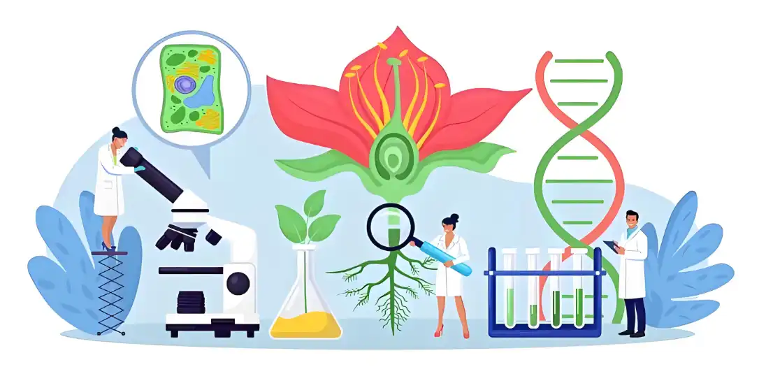 Fucoidan Powder Fucoidan Powder