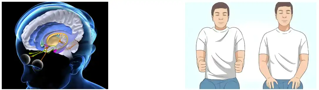 Extracto de pementa negra en po Extracto de pementa negra en po