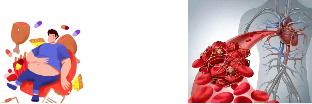 Stevia Extract Powder Stevia Extract Powder