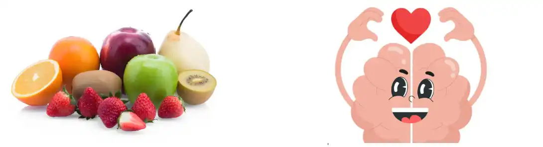 Mung Bean Protein Powder Mung Bean Protein Powder