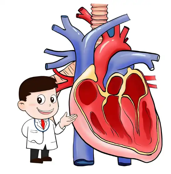 Mung Bean Protein Powder factory Mung Bean Protein Powder factory