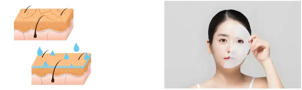 Grape Seed Extract Powder