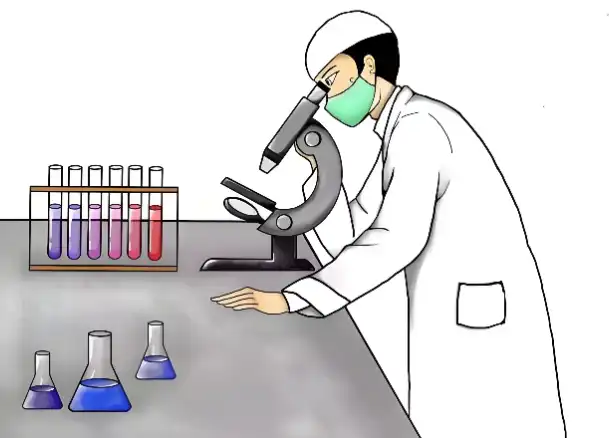 Grape Seed Extract Powder manufacturers