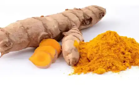 Turmeric Root Extract Powder Turmeric Root Extract Powder