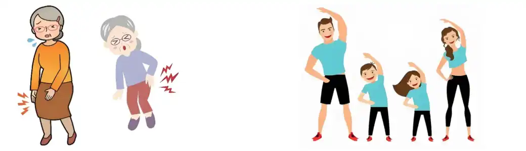 Turmeric Root Extract Powder suppliers