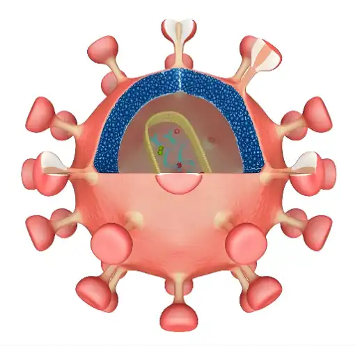 Boswellia Serrata Extract Powder Boswellia Serrata Extract Powder