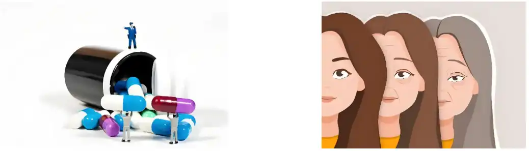 Boswellia Serrata Extract Powder Boswellia Serrata Extract Powder