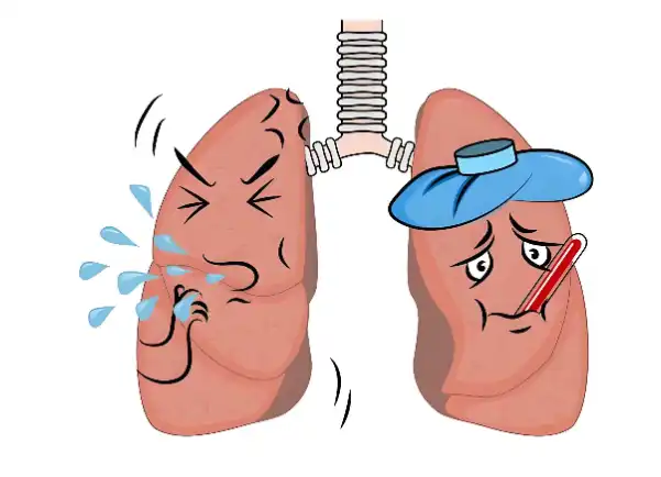 Boswellia Serrata Extract Powder manufacturers Boswellia Serrata Extract Powder manufacturers
