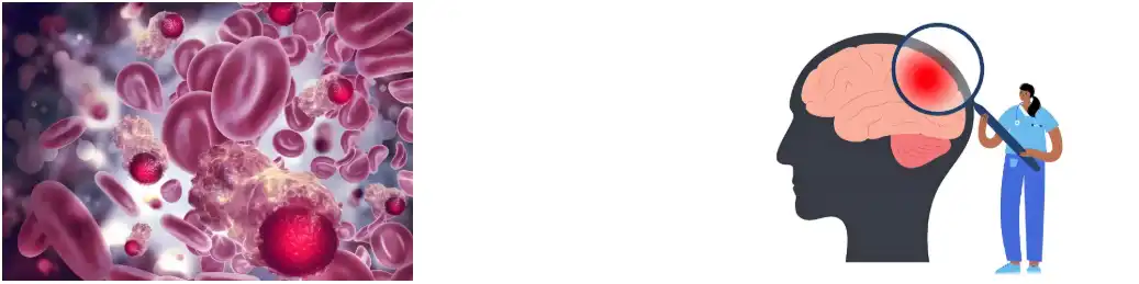 Fisetin Powder suppliers Fisetin Powder suppliers