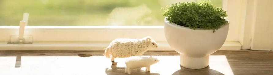 Red Cabbage Pigment Red Cabbage Pigment