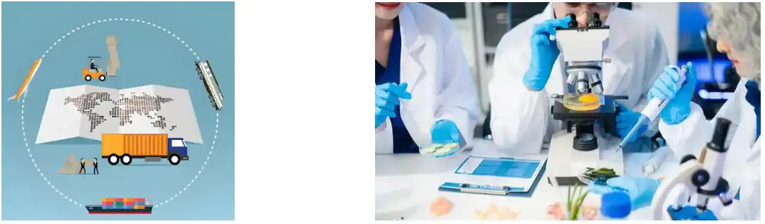 Astragalus Extract Powder