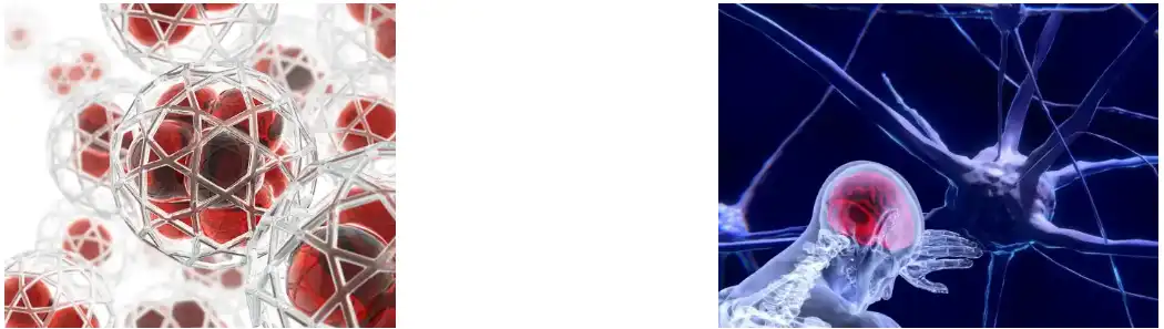 Green Tea Extract Powder