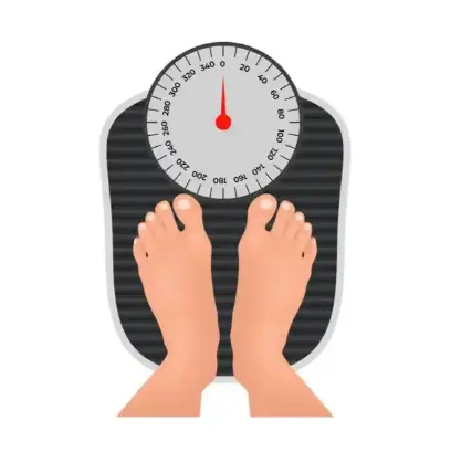 Green Tea Extract Powder