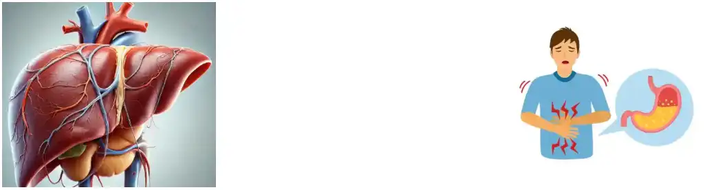 Artichoke Extract Powder