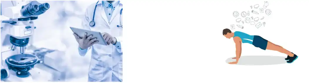 Artichoke Extract Powder