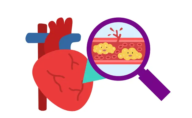 Artichoke Extract Powder suppliers