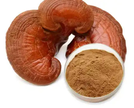 Reishi Mushroom Powder