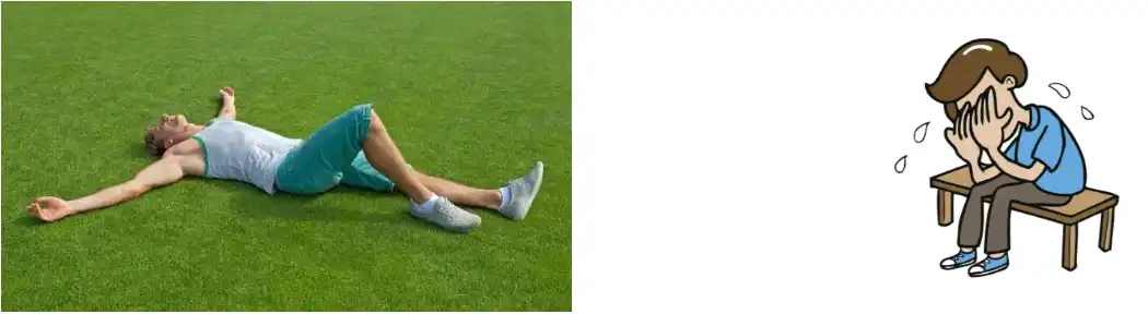 Reishi Mushroom Powder