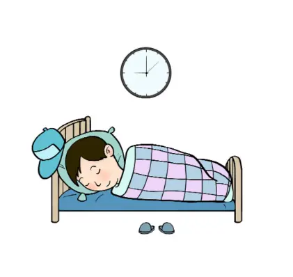 Reishi Mushroom Powder