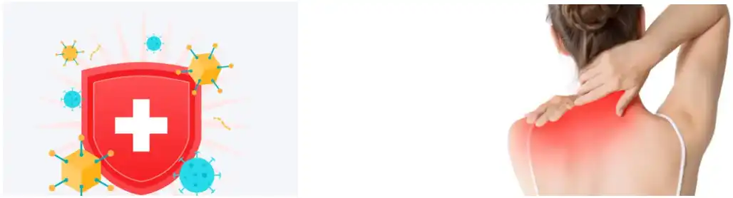 Reishi Mushroom Powder