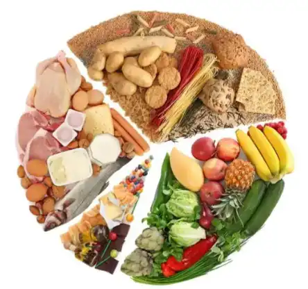 Reishi Mushroom Powder manufacturers