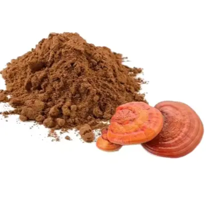 Reishi Mushroom Powder