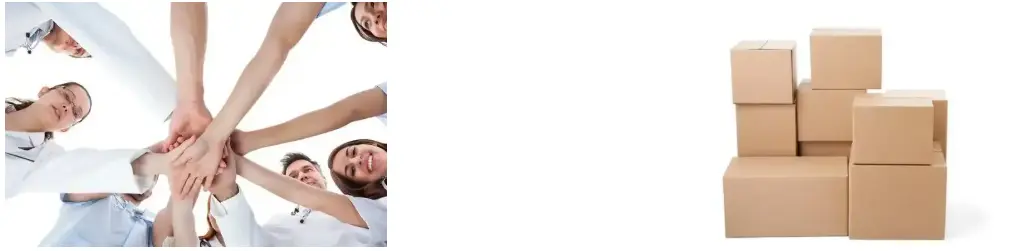 Reishi Mushroom Powder