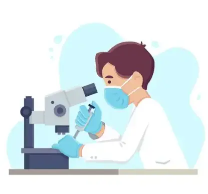 Reishi Mushroom Powder