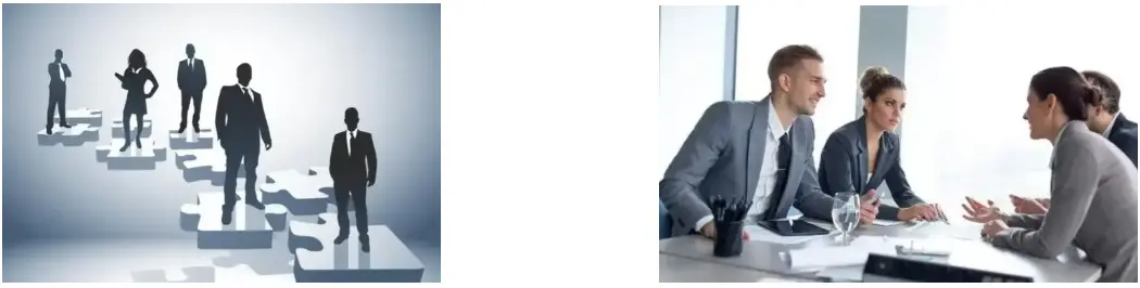 Soy Isoflavones Powder