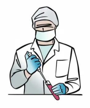 Stevia Extract Powder Stevia Extract Powder