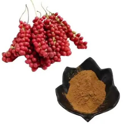Schisandra Extract Powder