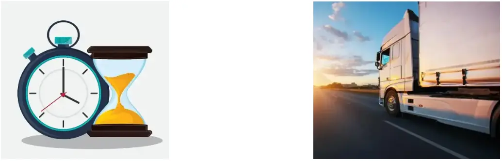 Schisandra Extract Powder