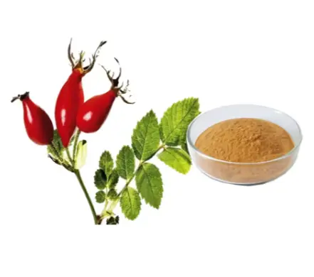 Rosehip Fruit Extract Rosehip Fruit Extract