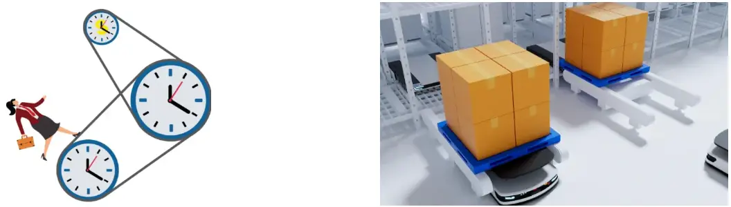 Rosehip Fruit Extract